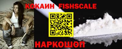 2c-b Кингисепп