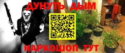 2c-b Кингисепп