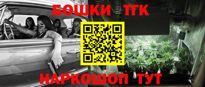 2c-b Кингисепп