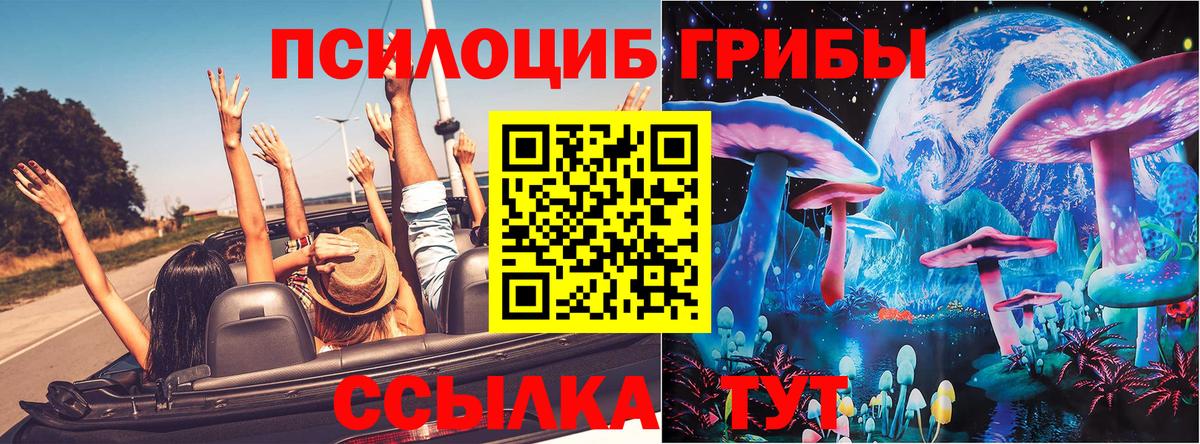 Кузнецк  Псилоцибиновые грибы MAGIC MUSHROOMS  Вход с VPN 